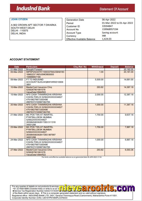 India IndusInd bank statement